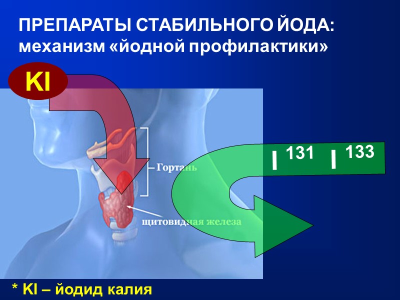 ПРЕПАРАТЫ СТАБИЛЬНОГО ЙОДА: механизм «йодной профилактики»   I 131  I 133 